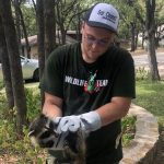 Member of Wildlife X team Oklahoma City handling a racoon humanely