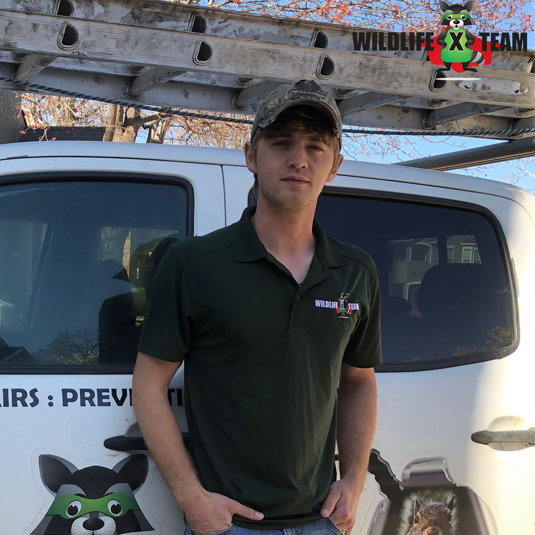 Trusted armadillo removal team in Broken Arrow OK