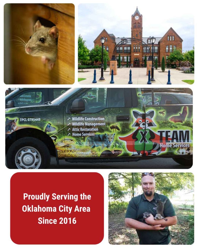 Wildlife X Team Oklahoma City Montage