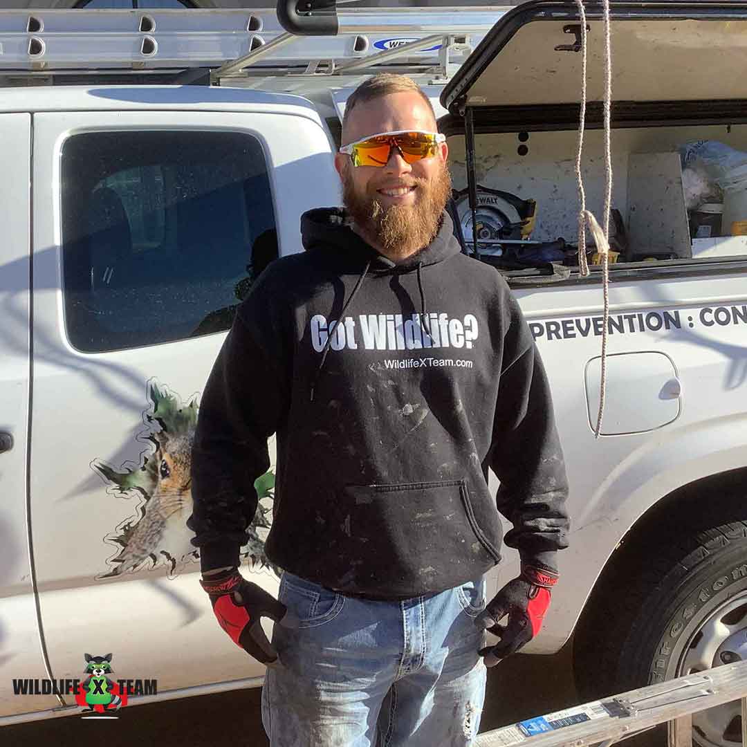 Trusted Wildlife X Team Tulsa bird control professionals in Broken Arrow Oklahoma