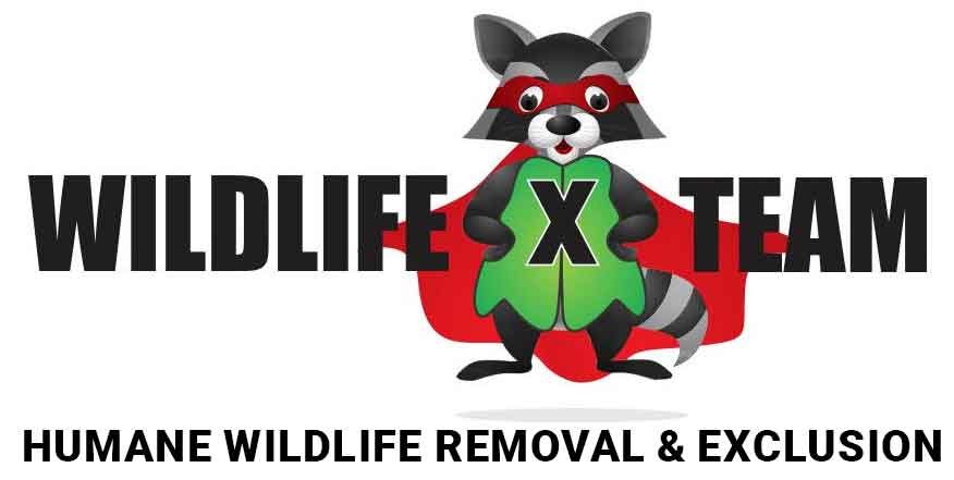 Wildlife X Team Oklahoma City Logo