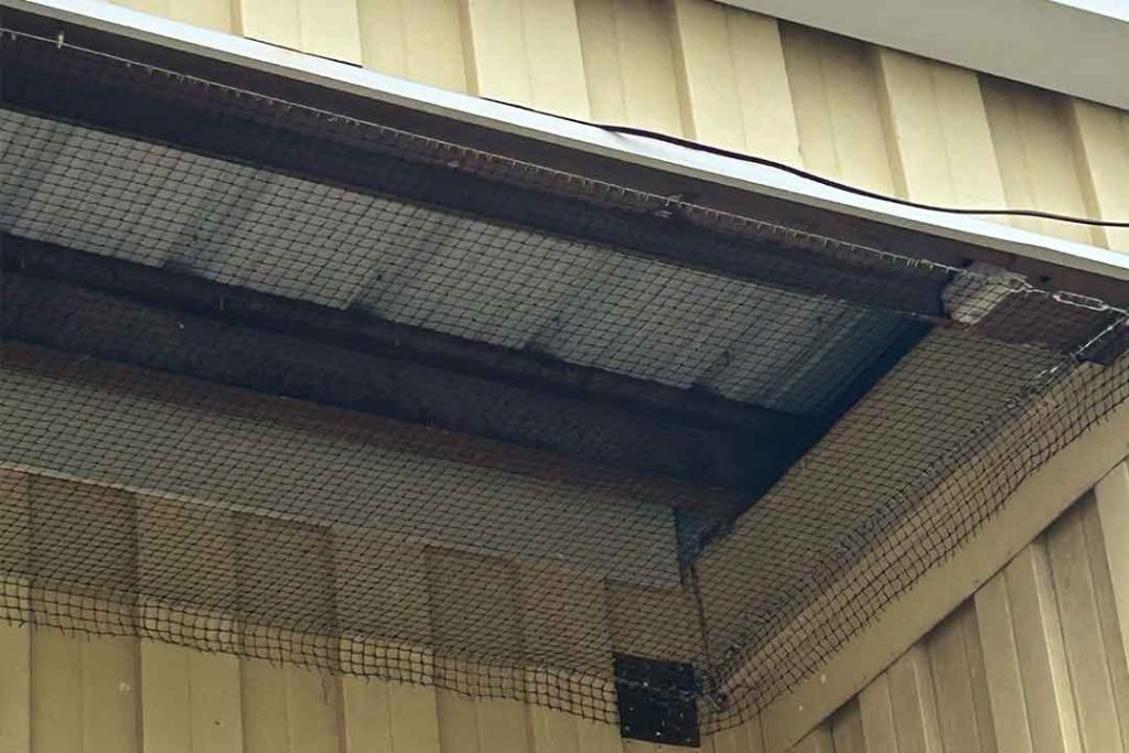 Wildlife X Team Oklahoma City offers professional wildlife exclusion services to keep animals out before the have a change to cause damage to your property.