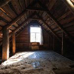 Attic with Wildlife X team Tulsa